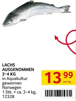 Transgourmet Lachs ausgenommen Angebot