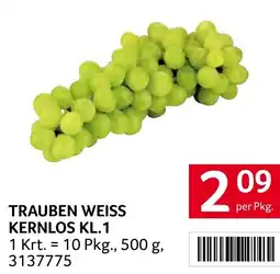 Transgourmet Trauben weiss kernlos kl.1 Angebot