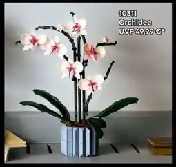 Lego Orchidee Angebot