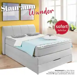 Polstermöbel Fischer Boxspringbett Angebot