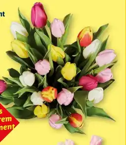 Lidl Bunter Tulpenstrauss Angebot