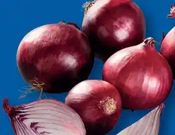 Lidl Efko Rote Zwiebeln Angebot