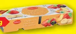 Lidl Milbona Gerührter Joghurt Angebot