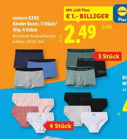 Lidl Kinder Boxer Angebot
