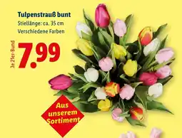 Lidl Tulpenstrauß bunt Angebot