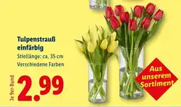 Lidl Tulpenstrauß einfärbig Angebot