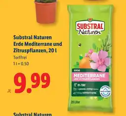 Lidl Erde Mediterrane und Zitruspflanzen Angebot