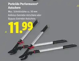 Lidl Astschere Angebot