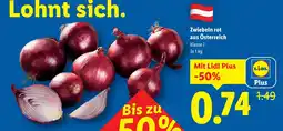 Lidl Zwiebeln rot Angebot