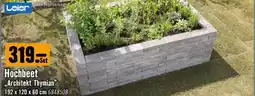 Hornbach Hochbeet Architekt Thymian Angebot