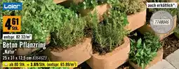 Hornbach Beton Pflanzring Natur Angebot