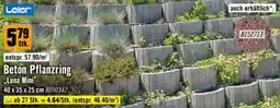 Hornbach Beton Pflanzring Luna Mini Angebot