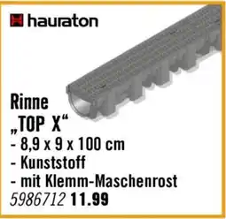 Hornbach Rinne top x Angebot