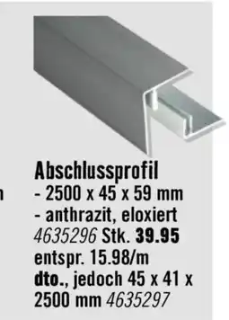 Hornbach Abschlussprofil Angebot