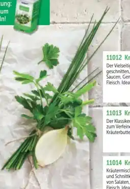 Bofrost Kräutergarten Petersilie Angebot