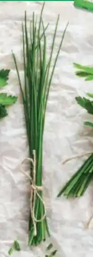 Bofrost Kräutergarten Schnittlauch Angebot