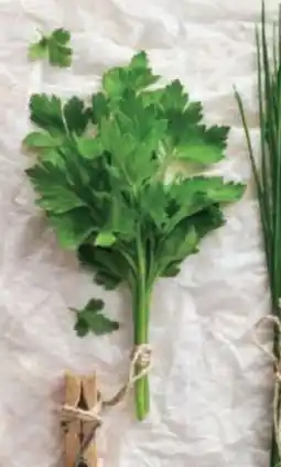 Bofrost Kräutergarten klassisch Angebot