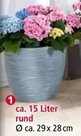 Norma Blumen- topf/Pflanzgefäß Angebot