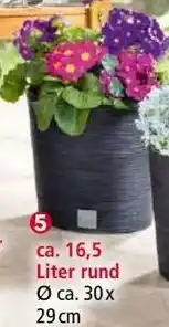 Norma Blumen- topf/Pflanzgefäß ,Florenz" Angebot