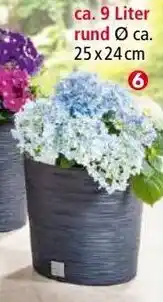 Norma Blumen- topf/Pflanzgefäß ,Florenz" Angebot