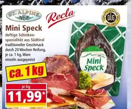 Norma Mini Speck Angebot