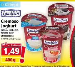Norma Cremoso Joghurt Angebot
