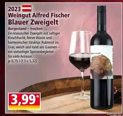 Norma Fischer Blauer Zweigelt Angebot