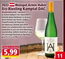 Norma Huber Bio-Riesling Kamptal DAC Angebot