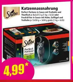 Norma Katzennassnahrung Angebot