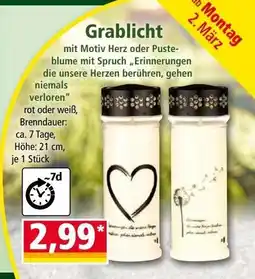 Norma Grablicht Angebot