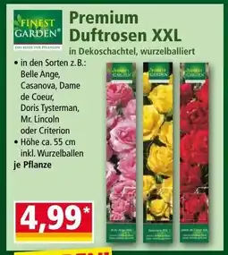 Norma Premium Duftrosen XXL Angebot