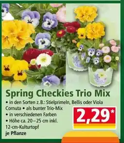 Norma Spring Checkies Trio Mix Angebot