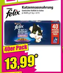 Norma Katzennassnahrung Angebot