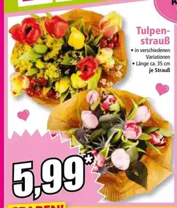 Norma Tulpen- strauß Angebot