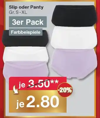 Slip oder Panty