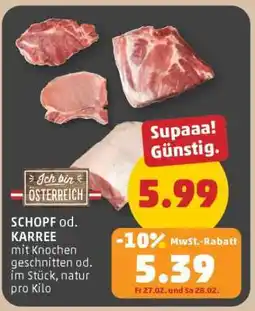 PENNY SCHOPF od. KARREE Angebot