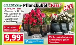 Norma Pflanzkübel „Fass“ Angebot