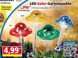 Norma LED-Solar-Gartenleuchte Angebot