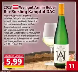 Norma 2023 Weingut Armin Huber Bio-Riesling Kamptal DAC Angebot