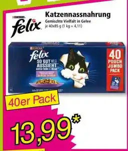 Norma Felix Katzennassnahrung Angebot
