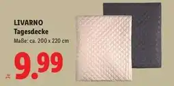 Lidl LIVARNO Angebot