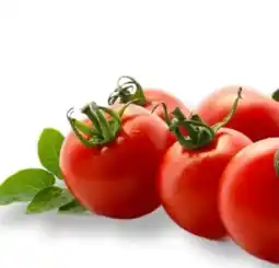 MPreis M Cherrytomaten Angebot