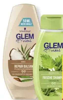 MPreis Schwarzkopf Glem Vital Shampoo Angebot