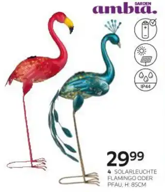 Solarleuchte flamingo oder pfau