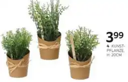 XXXLutz Kunstpflanze Angebot