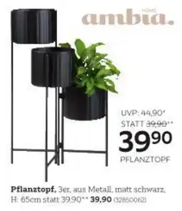 XXXLutz Pflanztopf Angebot