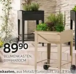 XXXLutz Blumenkasten Angebot