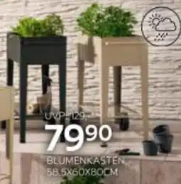XXXLutz Blumenkasten Angebot