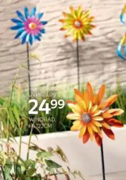 XXXLutz Windrad Angebot