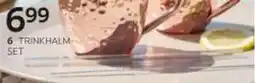 XXXLutz Trinkhalm set Angebot